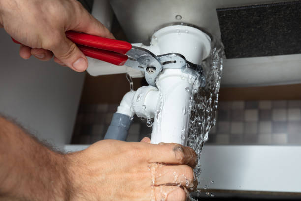 Best Sewage cleanup and water damage restoration  in Carle Place, NY