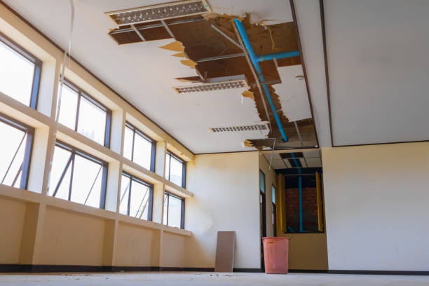 Best Local water damage restoration  in Carle Place, NY