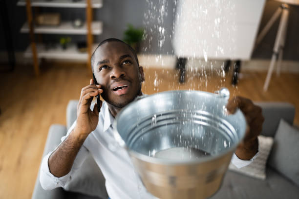 Best Mold removal after water damage  in Carle Place, NY