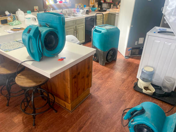 Best Water damage restoration near me  in Carle Place, NY