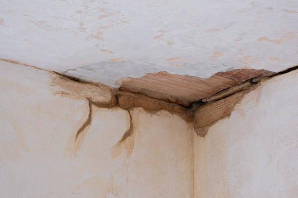Best Flood restoration services  in Carle Place, NY