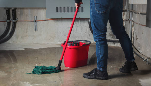 Best Local water damage restoration  in Carle Place, NY