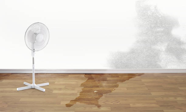 Carle Place, NY Water damage restoration Company