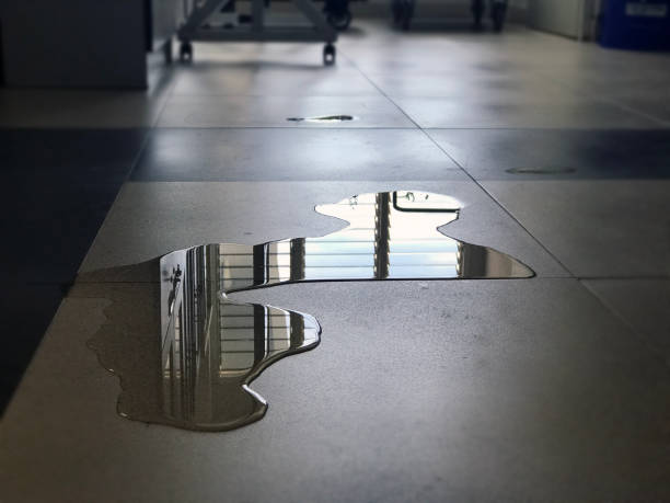 Best Carpet water damage restoration  in Carle Place, NY