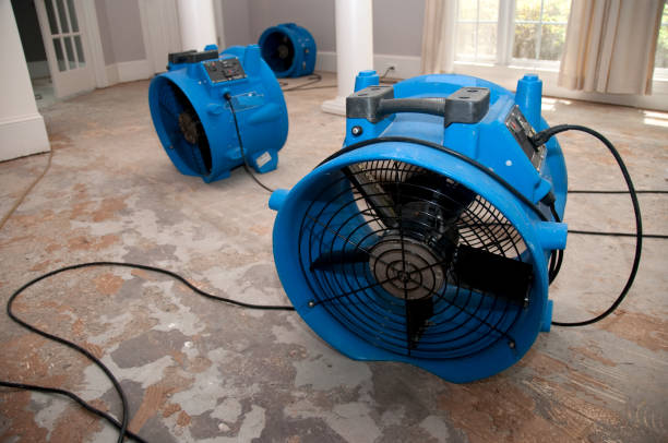 Best Water damage restoration near me  in Carle Place, NY