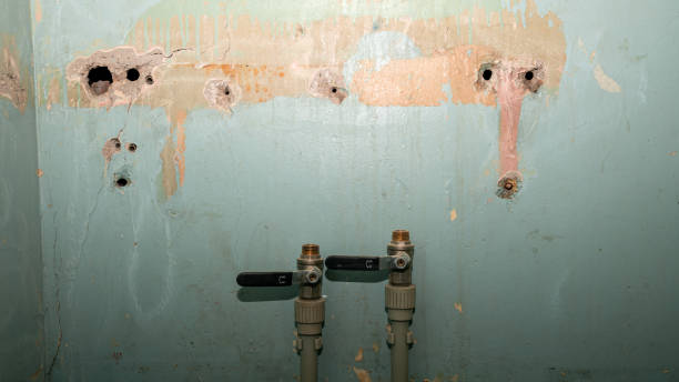 Carpet water damage restoration in Carle Place, NY