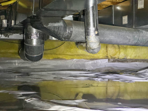 Best Water damage restoration specialists  in Carle Place, NY