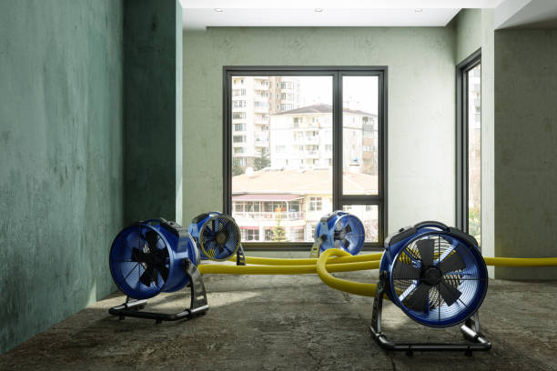 Best Carpet water damage restoration  in Carle Place, NY
